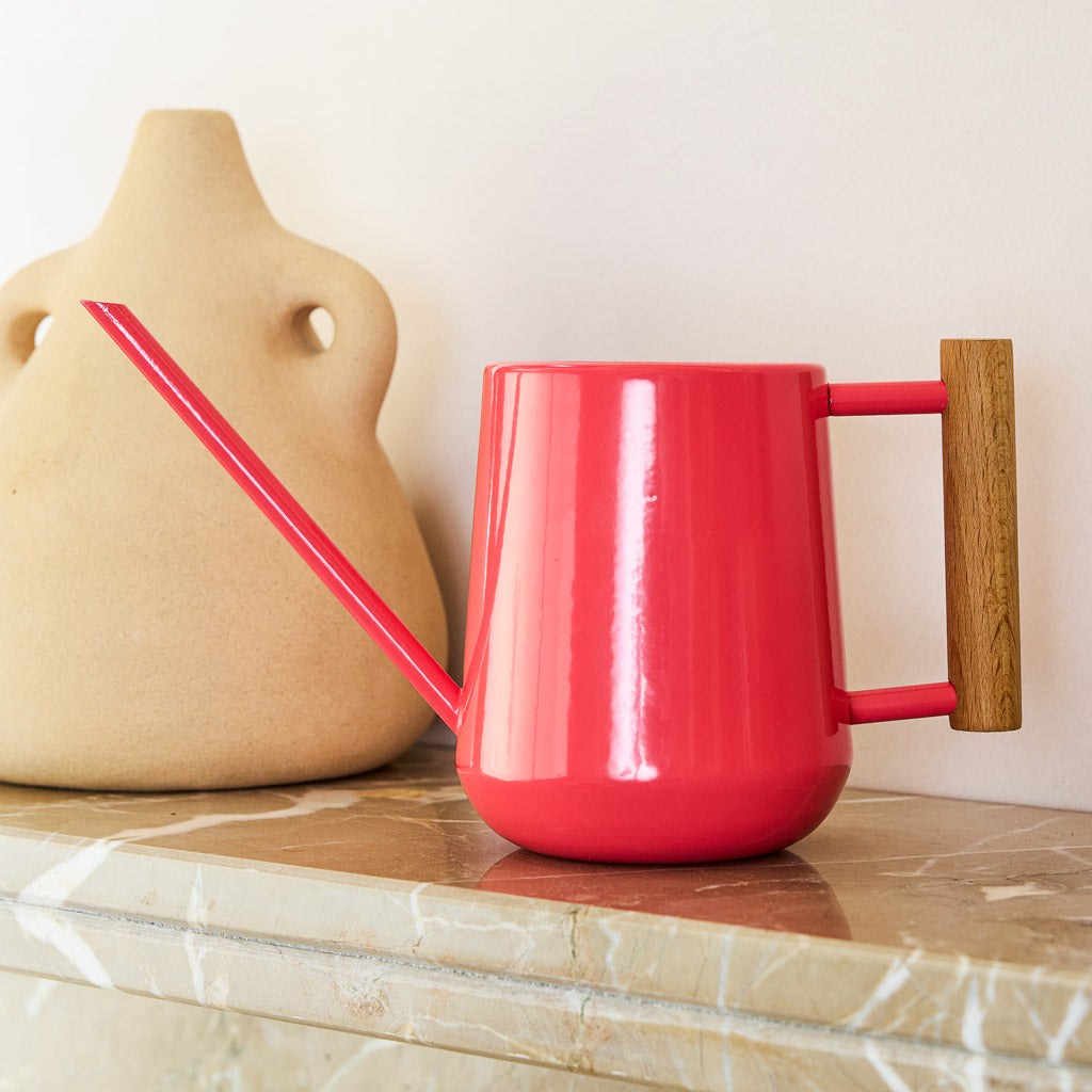 Indoor Watering Can 0.7L Coral with Beech Handle In Living Room