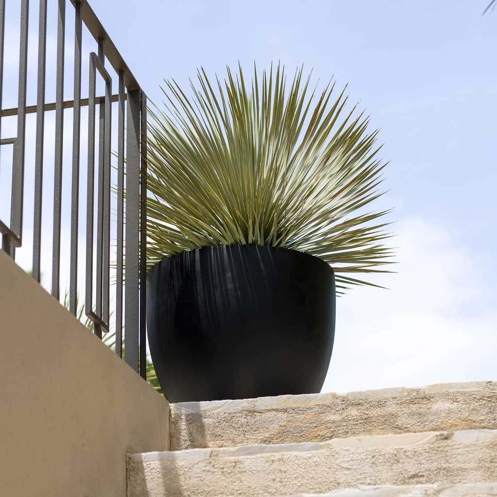 Jesslyn Natural Planter - Black Looking Up
