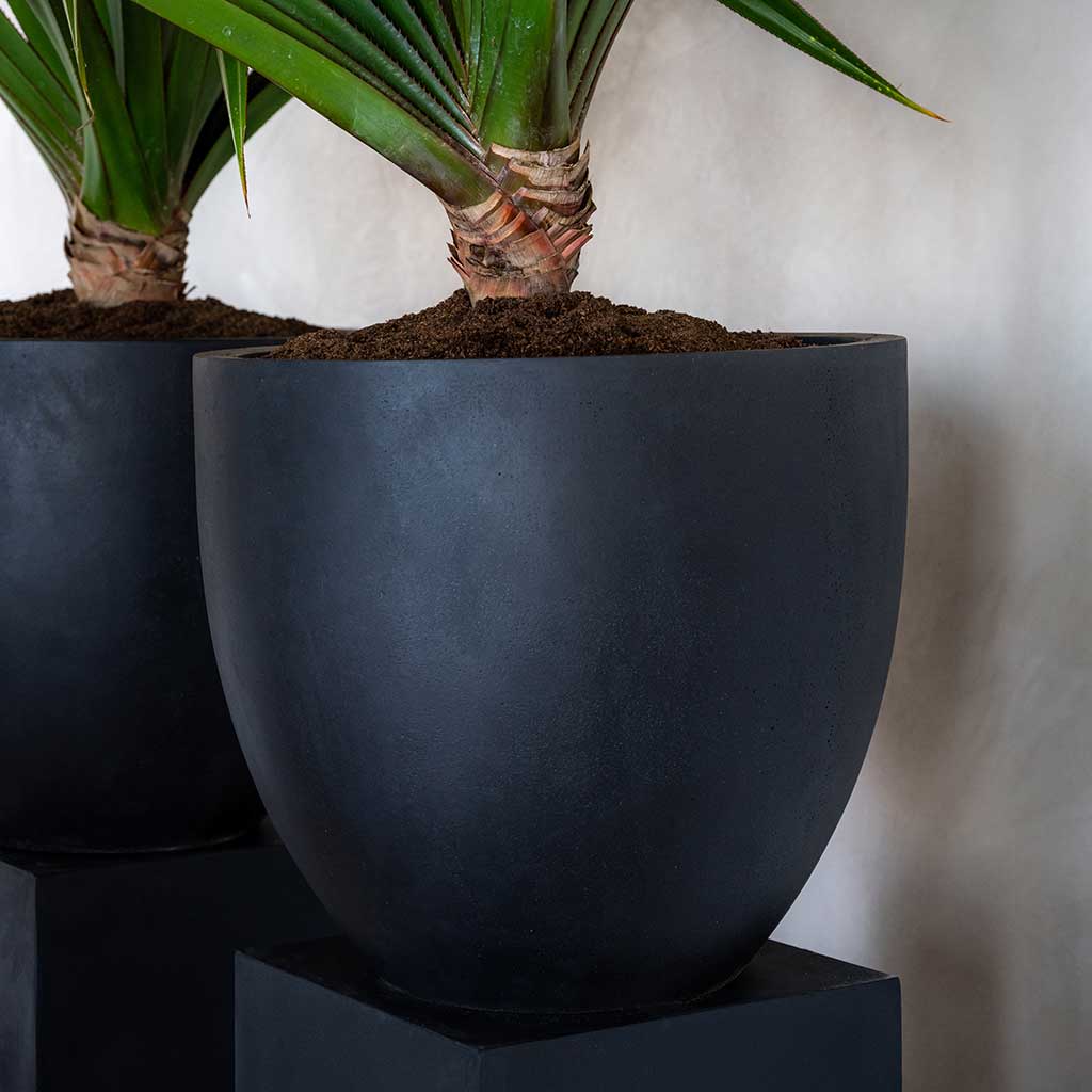 Jesslyn Natural Planter - Black & Yucca