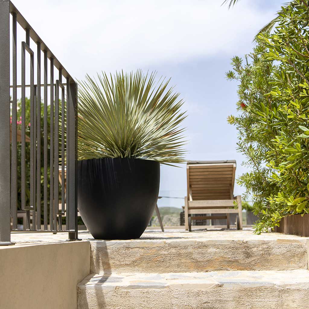 Jesslyn Natural Planter - Black Garden