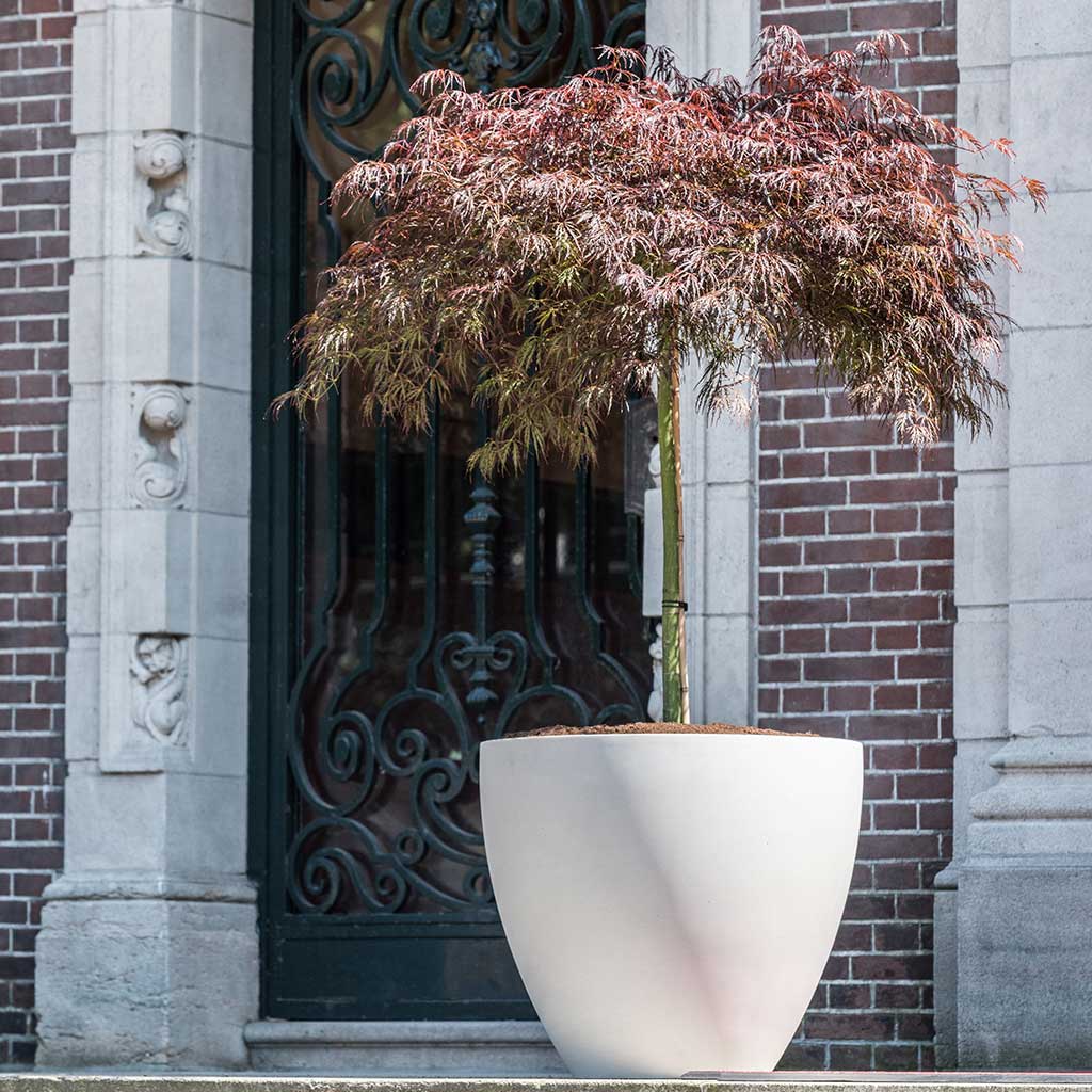 Jesslyn Refined Planter Natural White