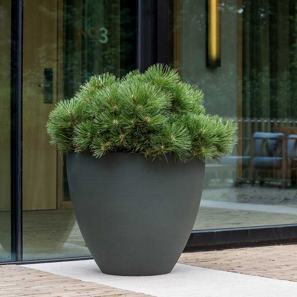 Jesslyn Refined Planter Pine Green 2XLarge