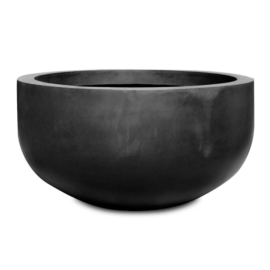 Jumbo City Bowl Natural Planter - Black