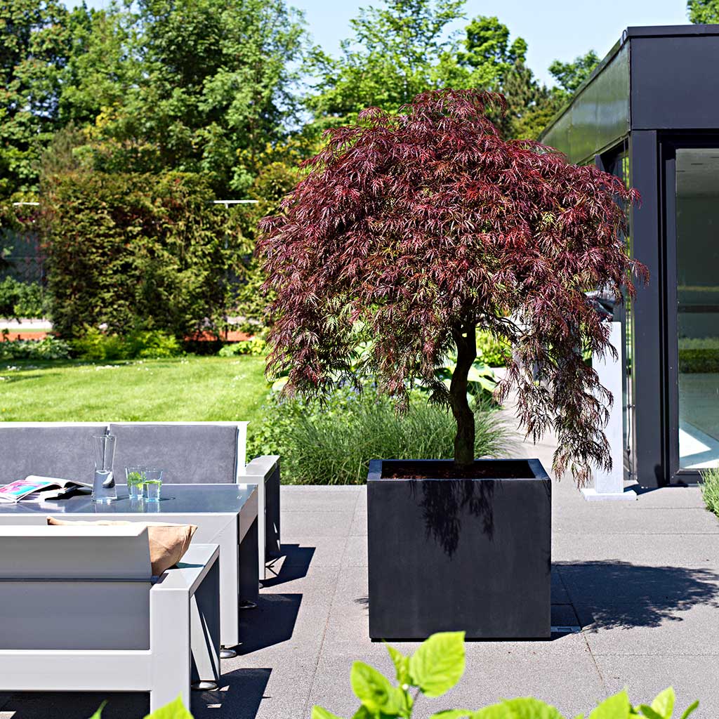 Jumbo Cube Natural Planter - Black