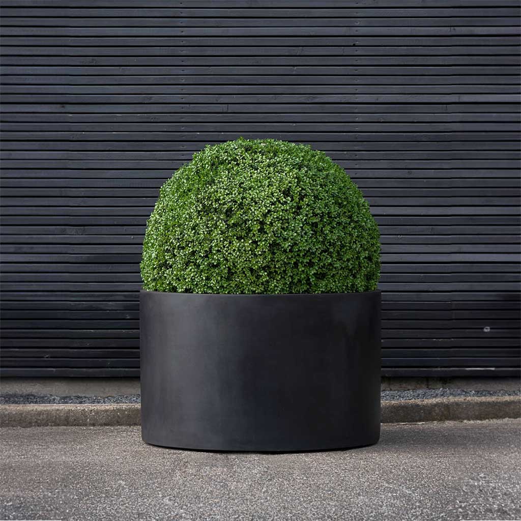 Jumbo Max Low Rise Natural Planter - Black