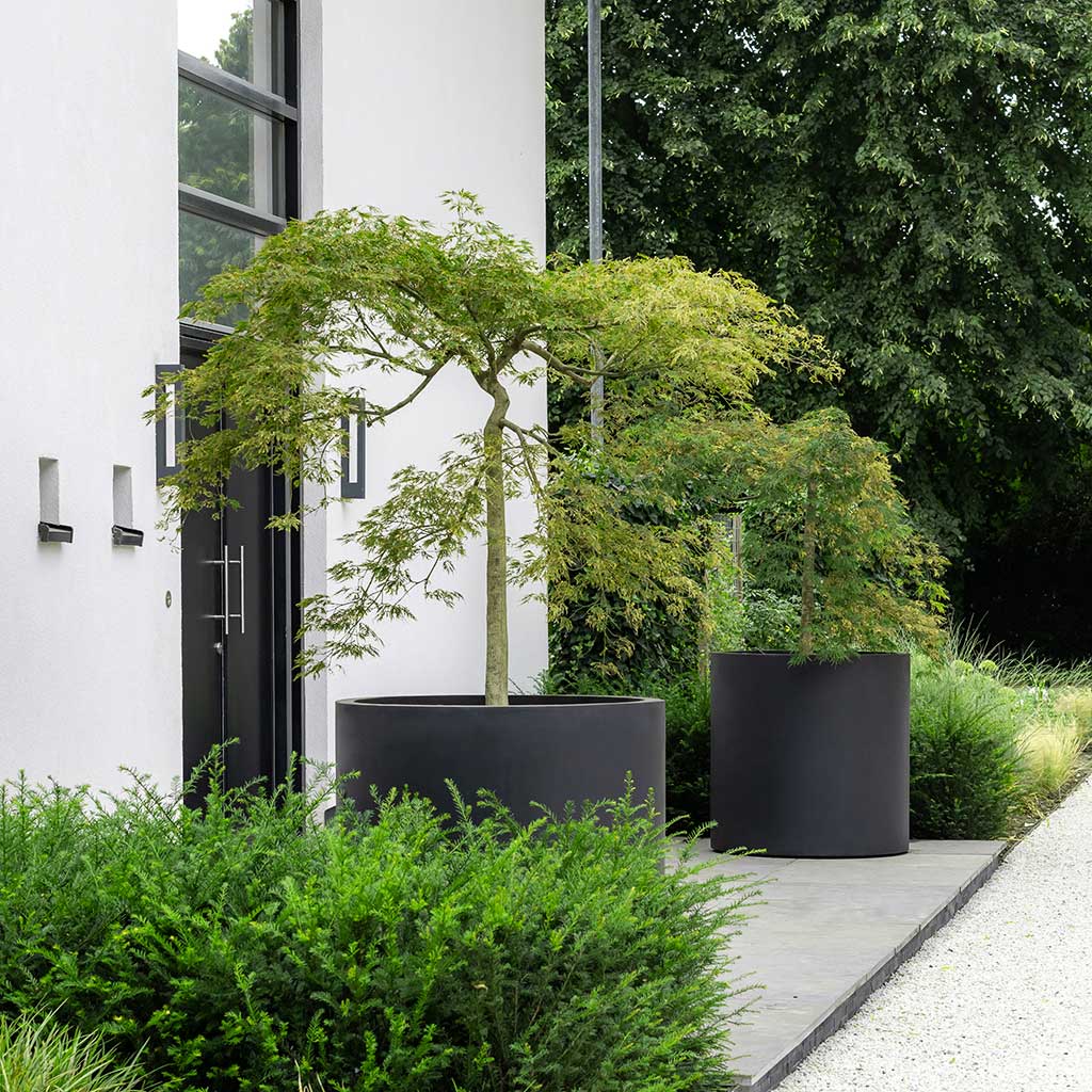 Jumbo Max Natural Planter Black Entrance Planters