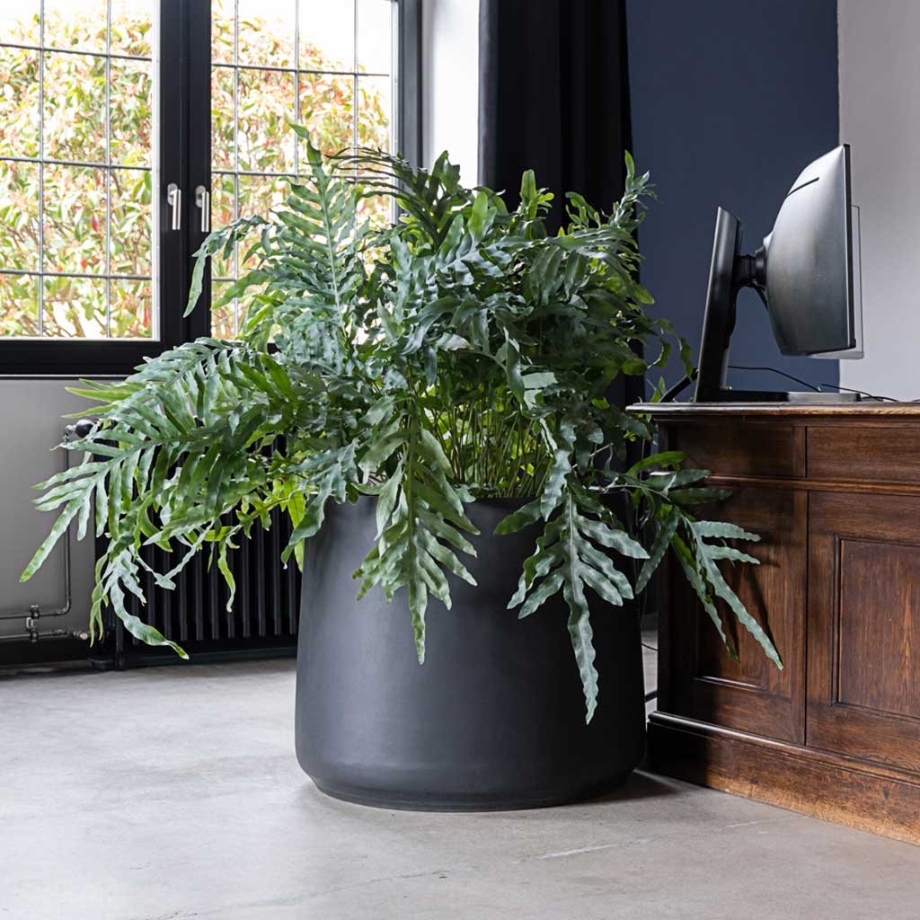 Jumbo Patt Natural Planter - Black