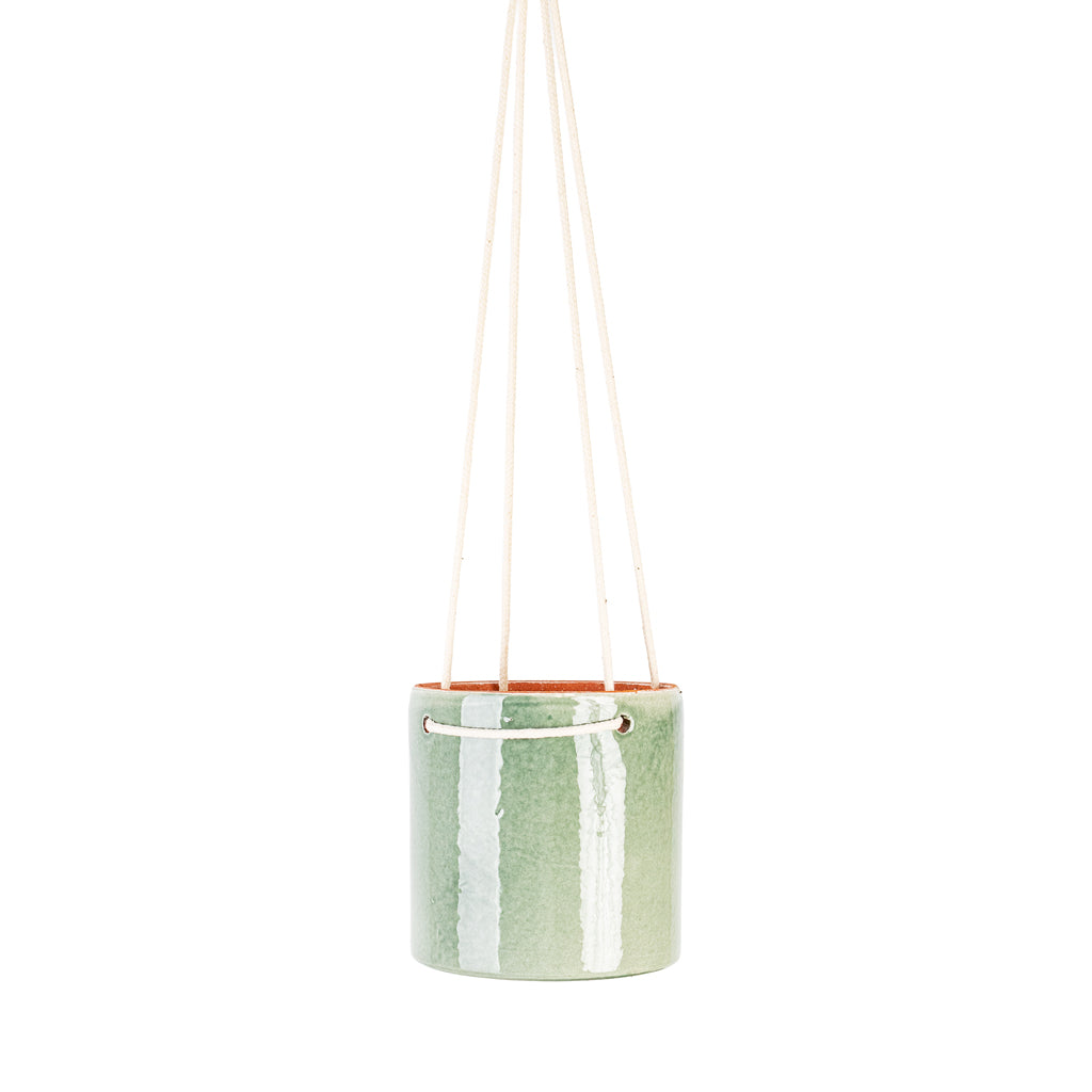 Kai Hanging Pot Mint 13x13cm pot medium shot