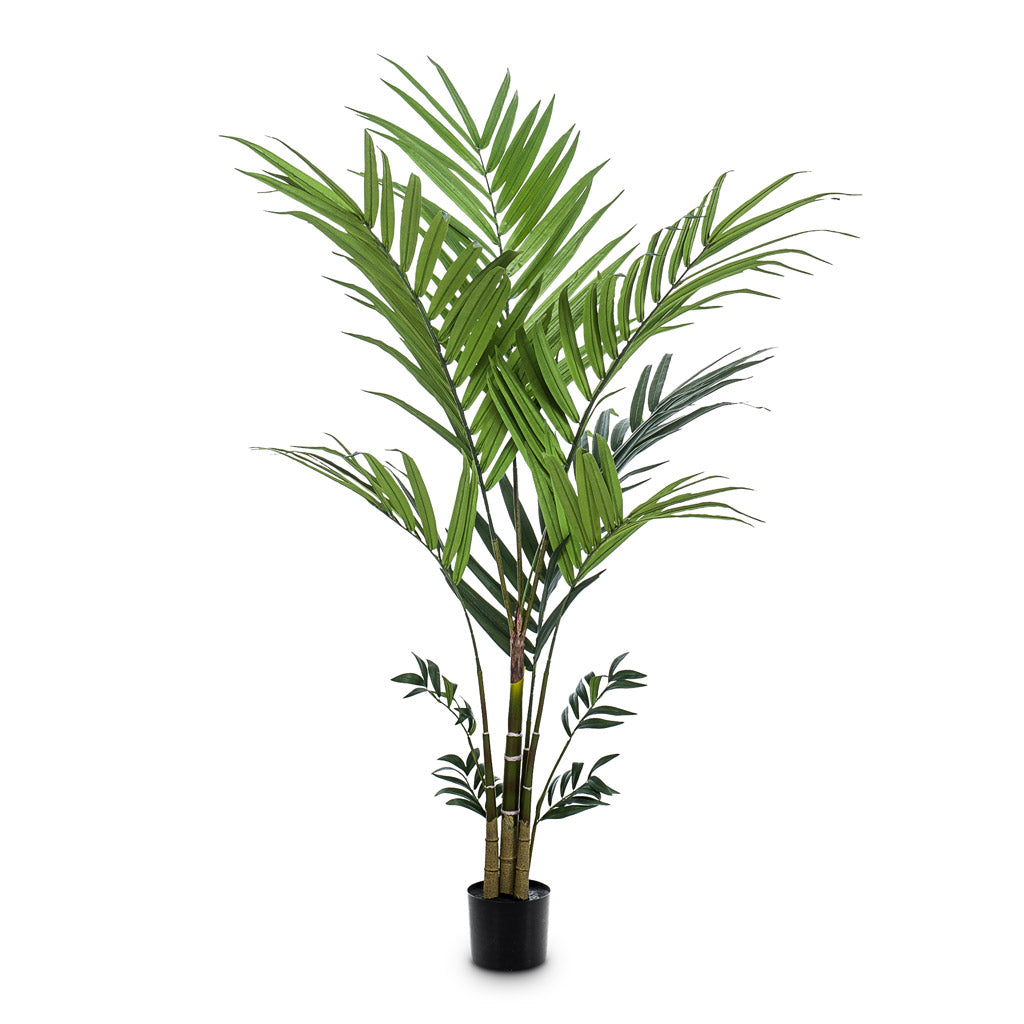 Kentia Palm Artificial - 180cm