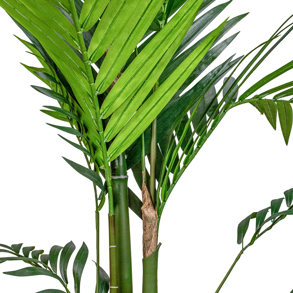 Kentia Palm Artificial Close Up Of Leaves 
