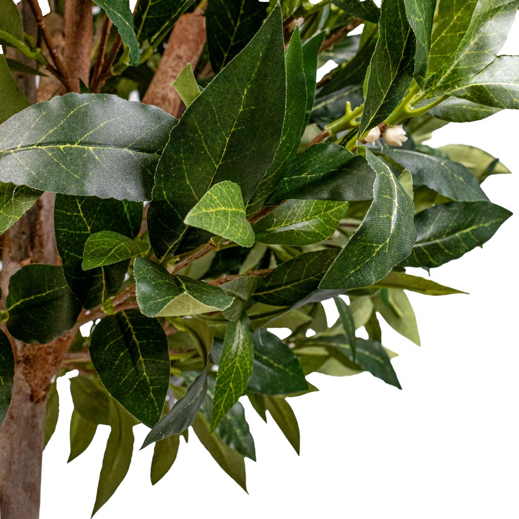 Laurel Ball Artificial DETAILS  Close up Of Leaves 