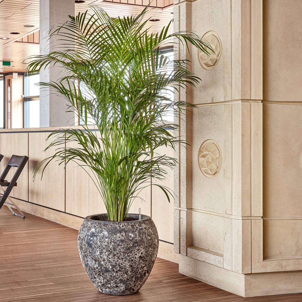 Lava Balloon Relic Planter - Rust & Palm
