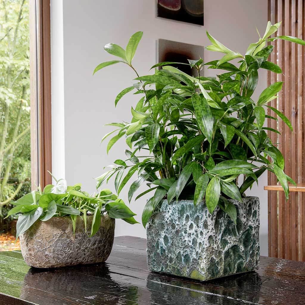Lave Cube Planter Jade