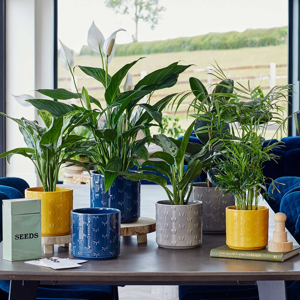 Arley Plant Pot - Blue Dragonfly Medium