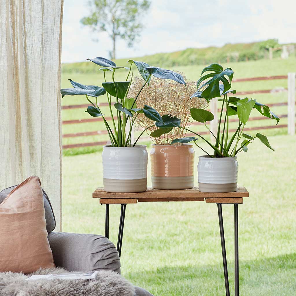 Puro Ripple Plant Pot - White & Peach