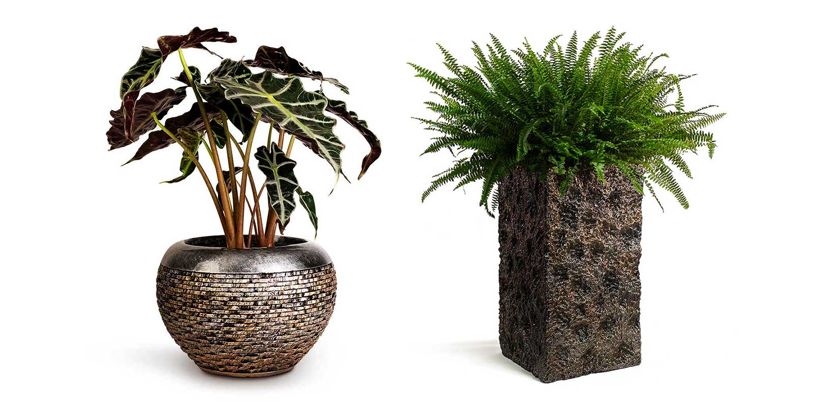 Luxe Lite Globe Layer & Moon Square Planters