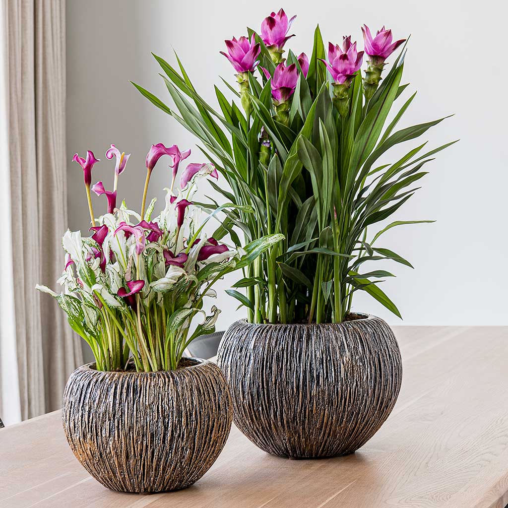 Luxe Lite Waterfall Globe Planters