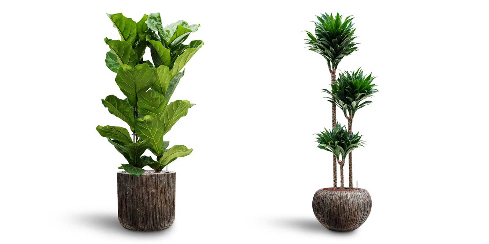 Luxe Lite Waterfall Cylinder & Globe Planters