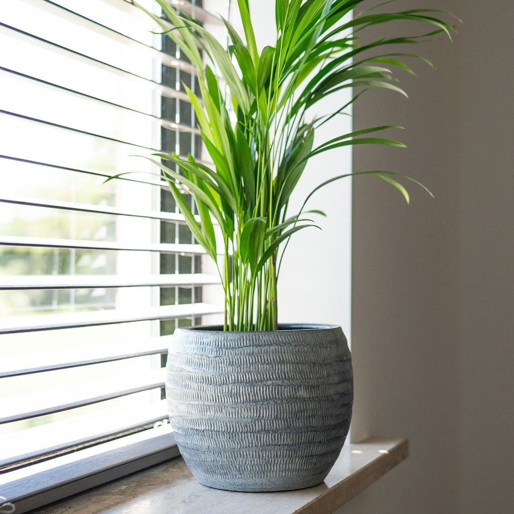 Manuel Shiny grey plant pot on a windowsill