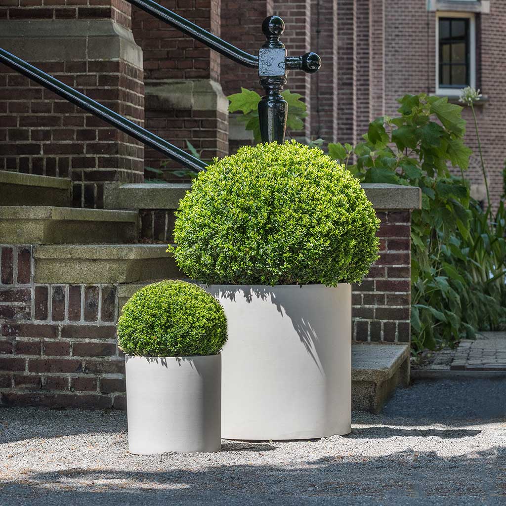 Max Refined Planters Natural White