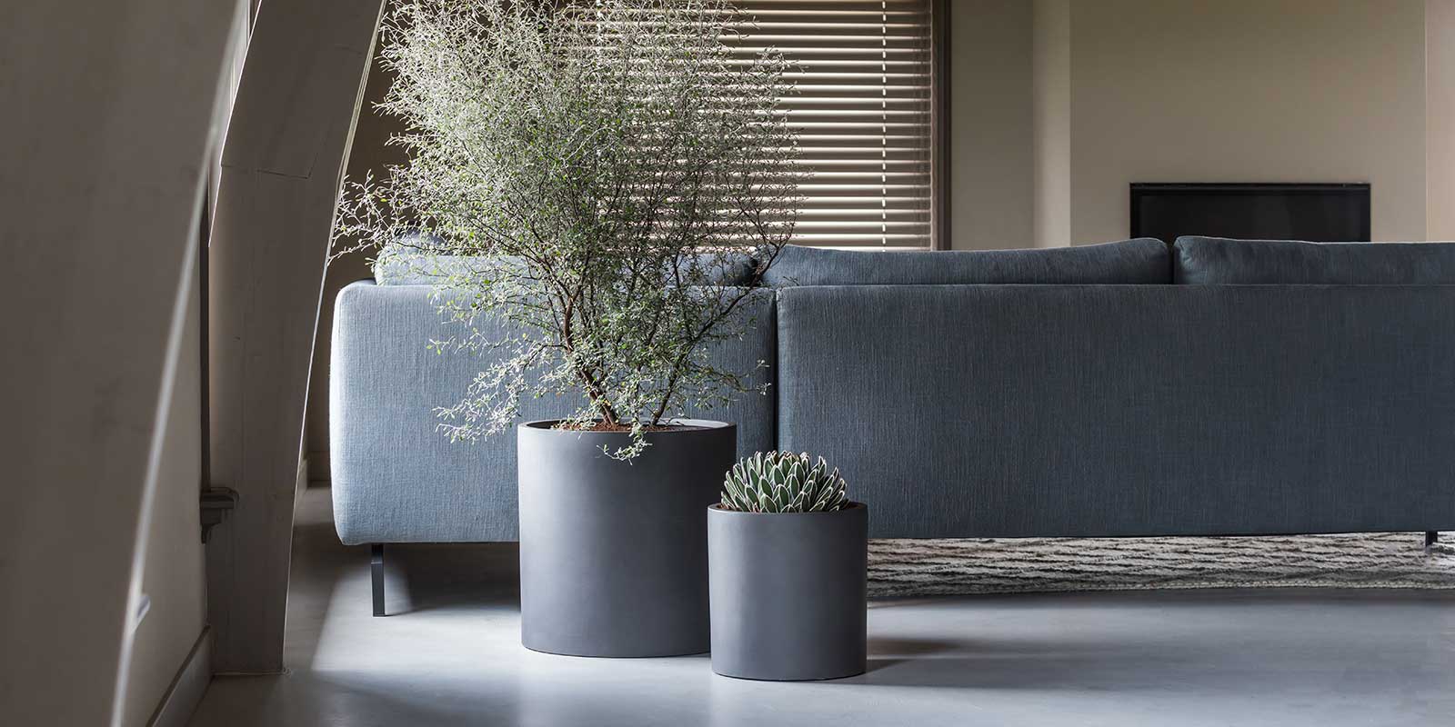 Max Refined Planters Volcano Black