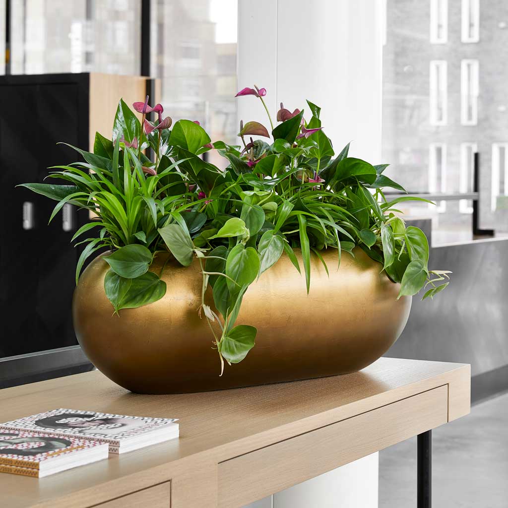 Metallic Boat Planter - Matt Honey
