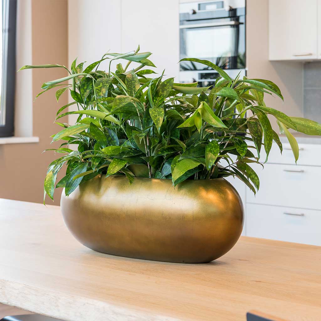 Metallic Boat Planter - Matt Honey