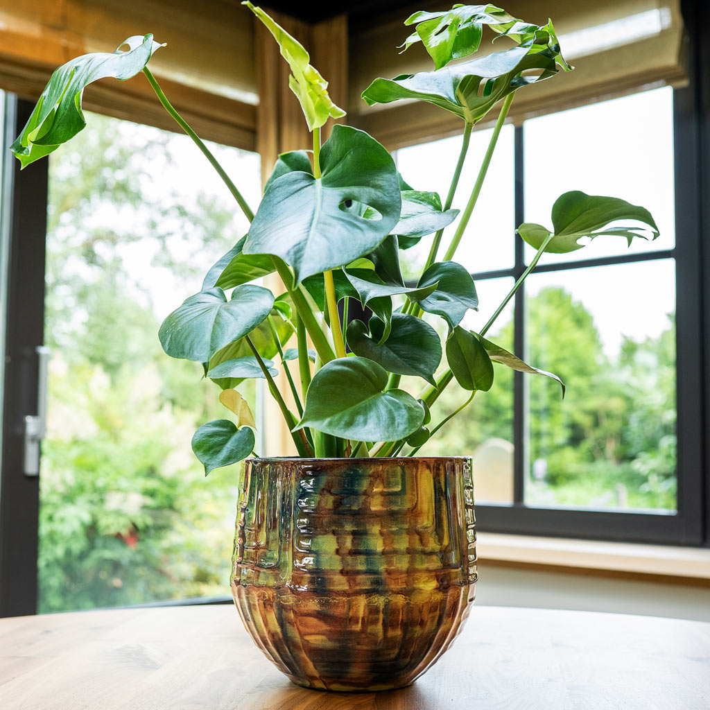 Monstera in Mette Metal Pot Marrakesh 