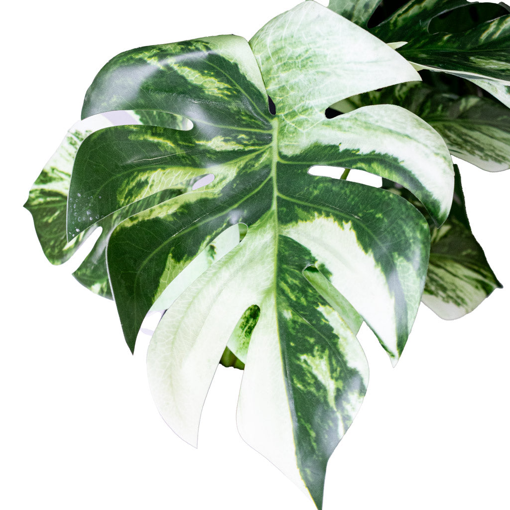 Monstera Bush Variegated Swiss Cheese Plant Potted Artificial 40cm House Plant In Roger Pot Thyme 14x14cm