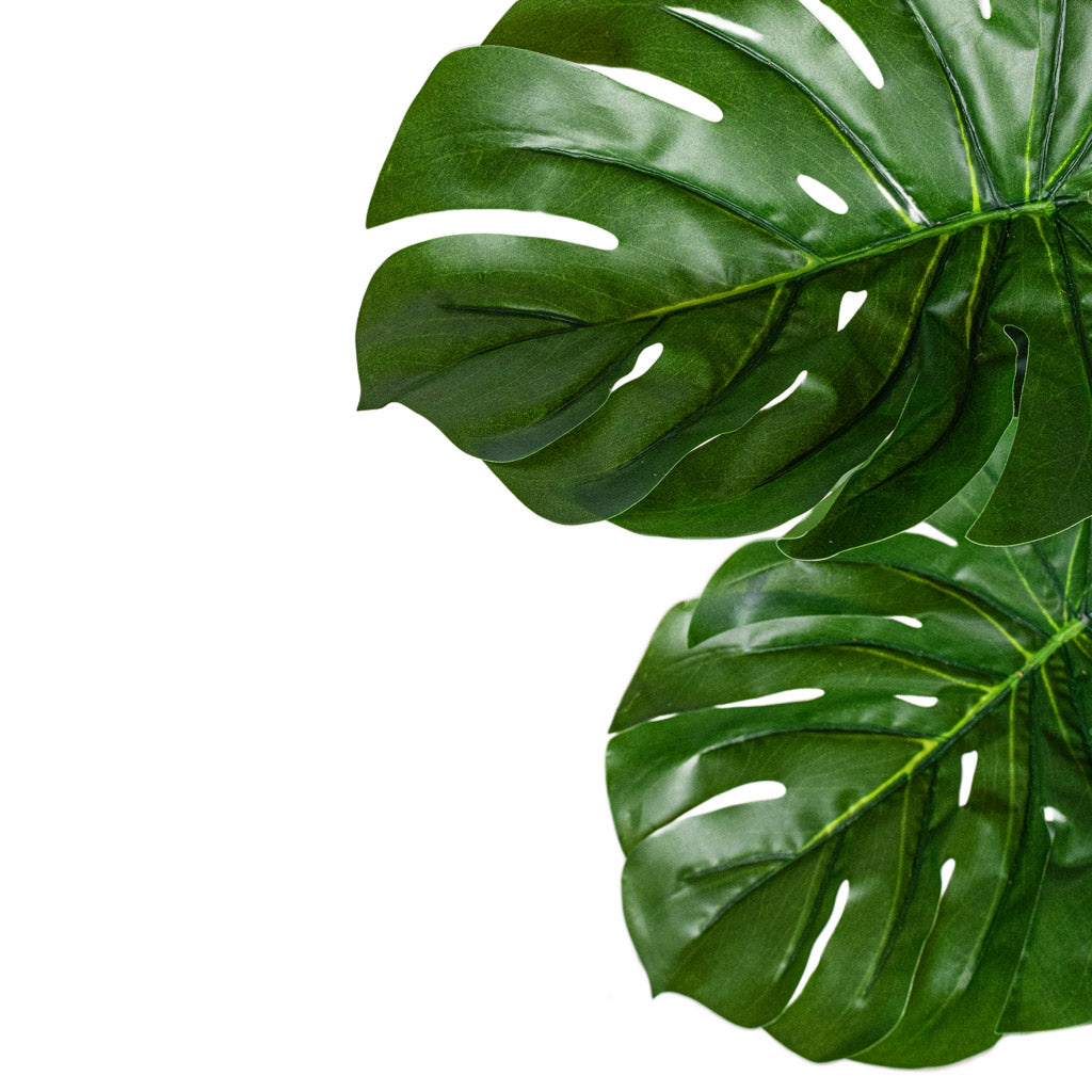 Monstera Moss Pole Swiss Cheese Plant Artificial Close Up Of Leaves 