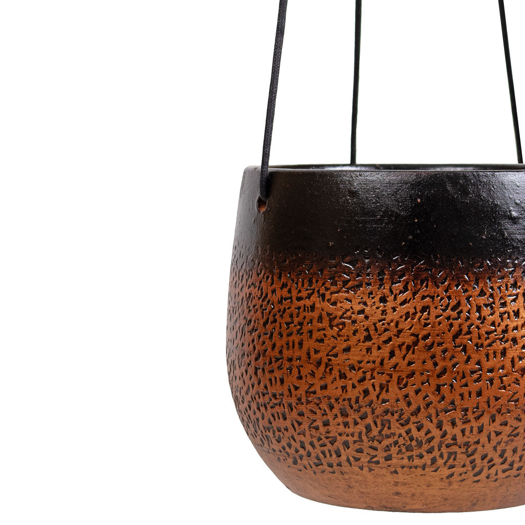Mya Hanging Planter - Shiny Mocha - Close Up