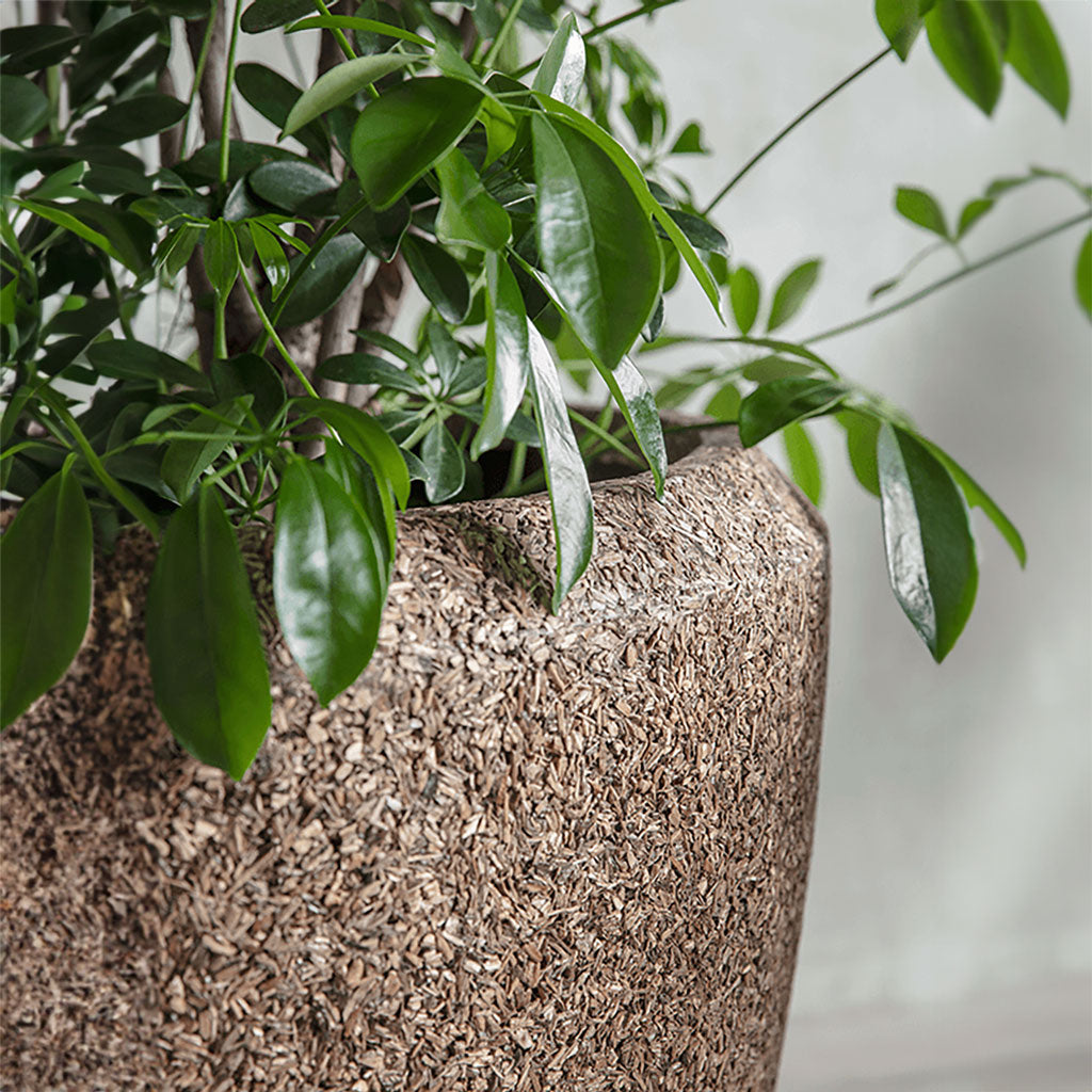 Naturescast Couple Planter - Natural