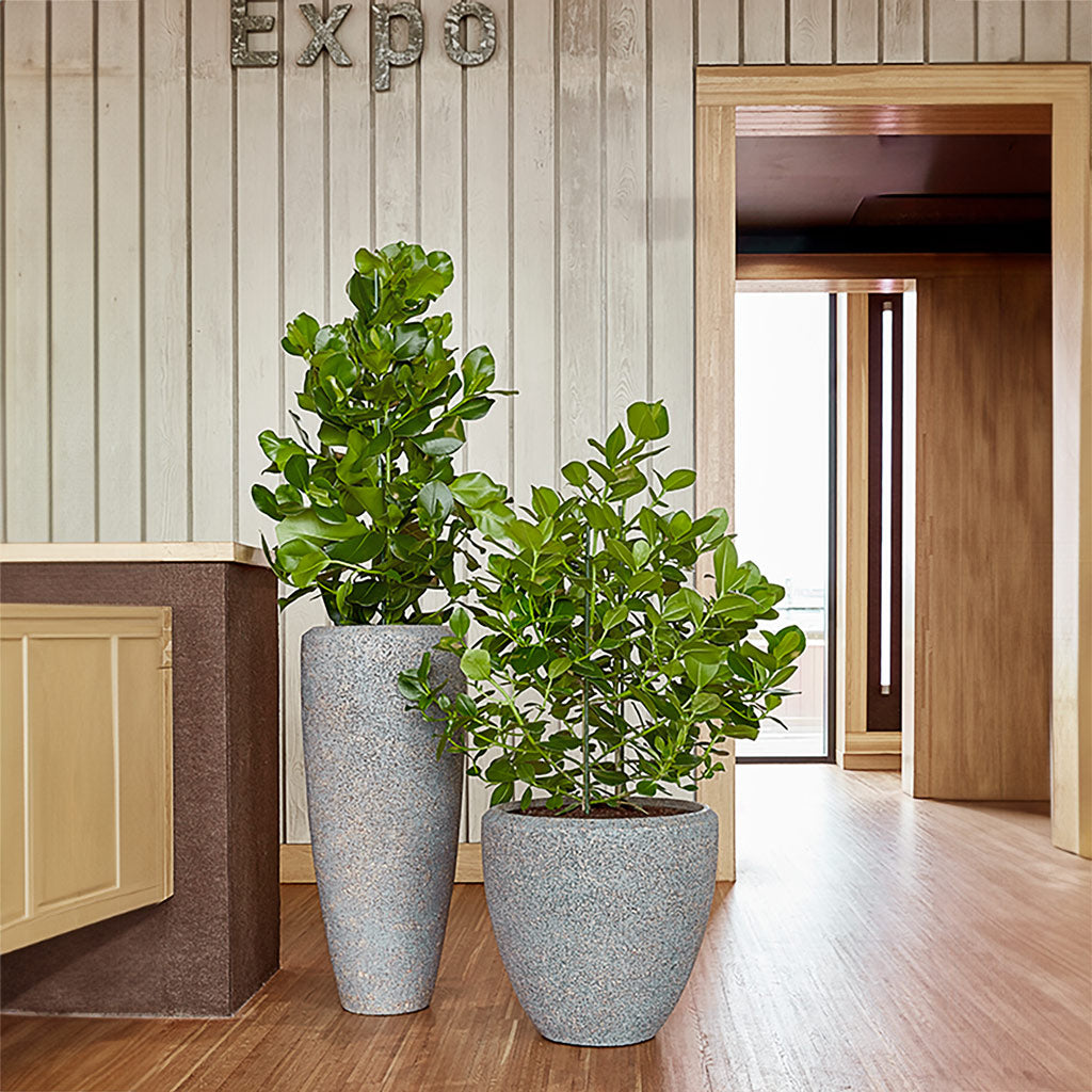 Naturescast Couple Planter - Grey
