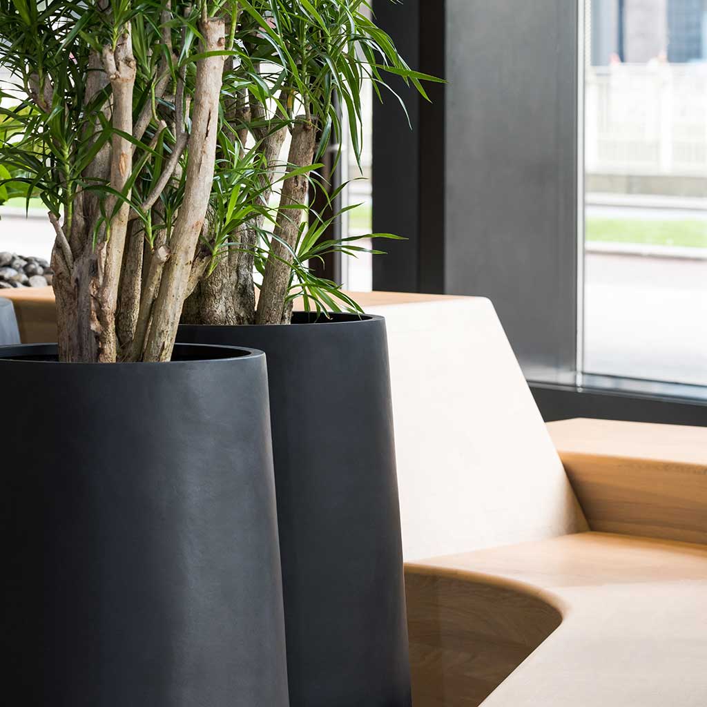 Nax Natural Planter Black Office Planters Close Up