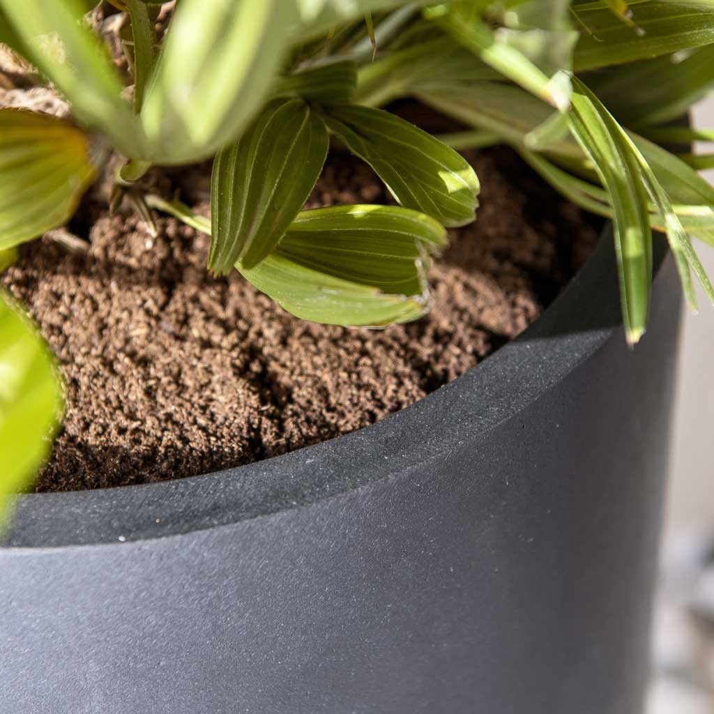 Nax Natural Tall Planter - Black From Above