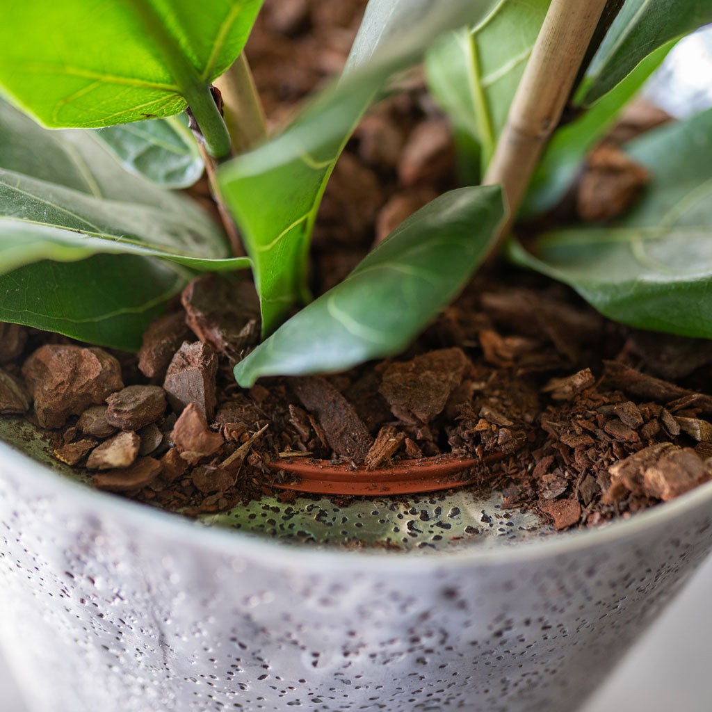 Naya Tall Metal Planter Silver Plant Pot