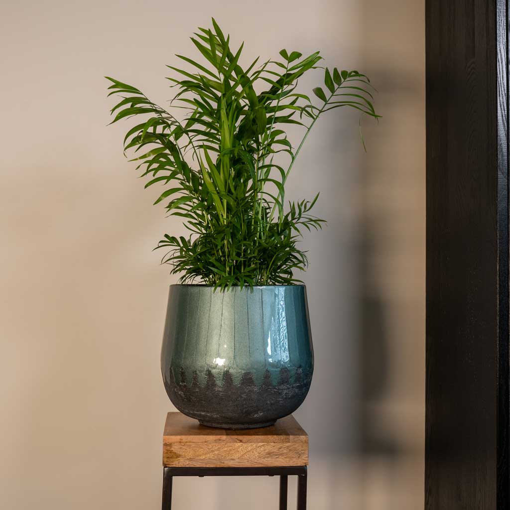 Ninthe Metal Plant Pot - Metallic Petrol - Parlour Palm Houseplant