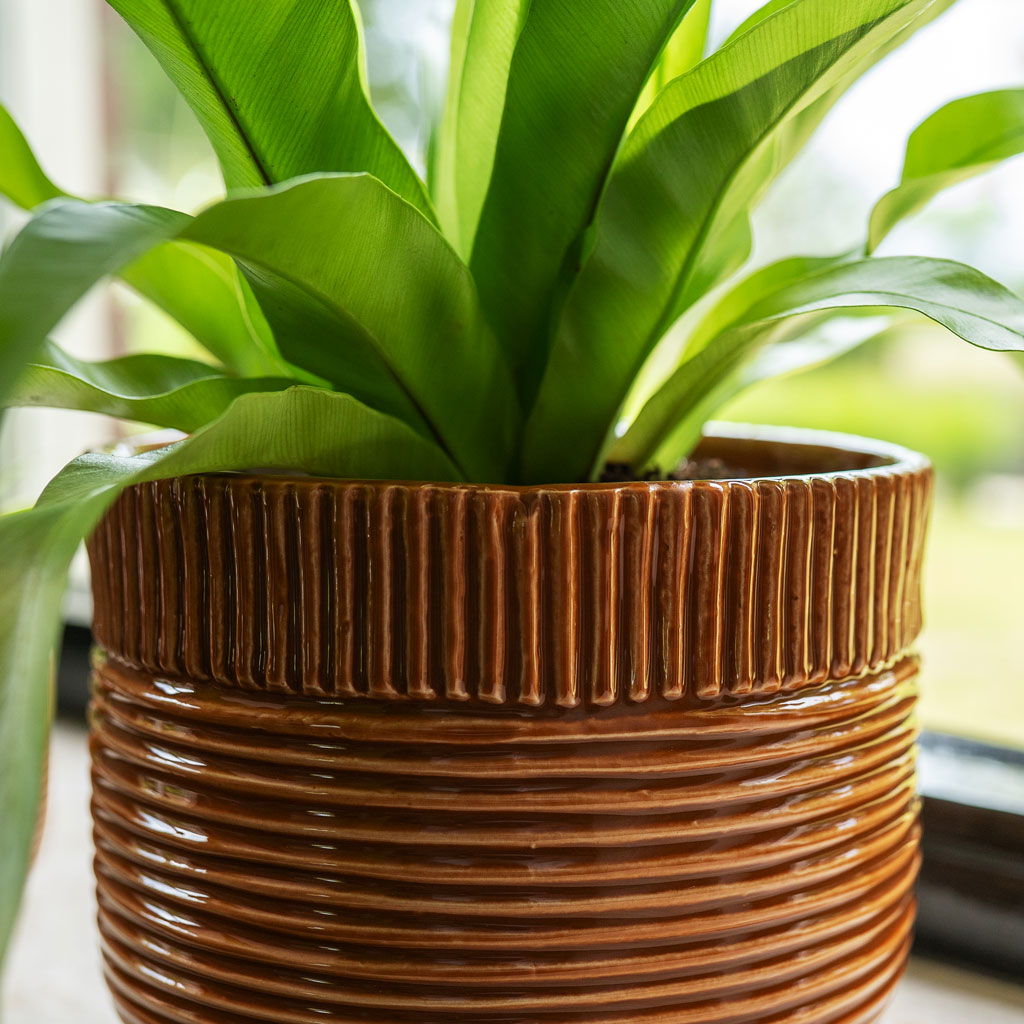 Nona Pot Horizon Lifestyle