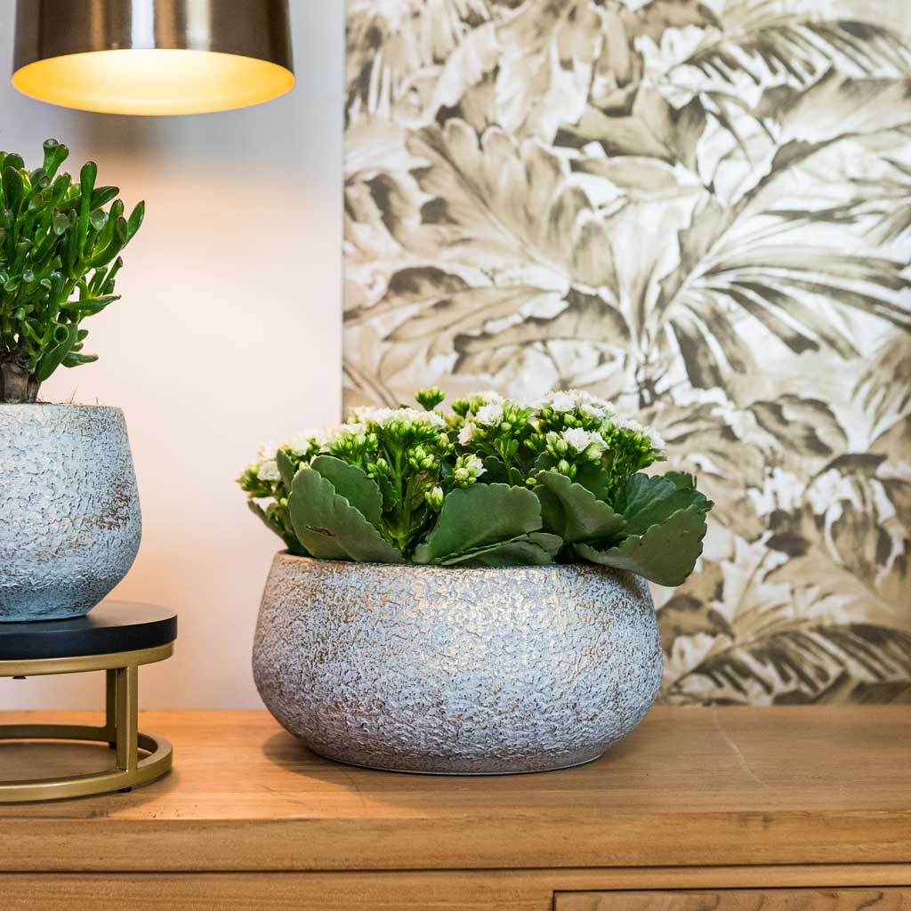 Noor Plant Bowl Metallic Grey