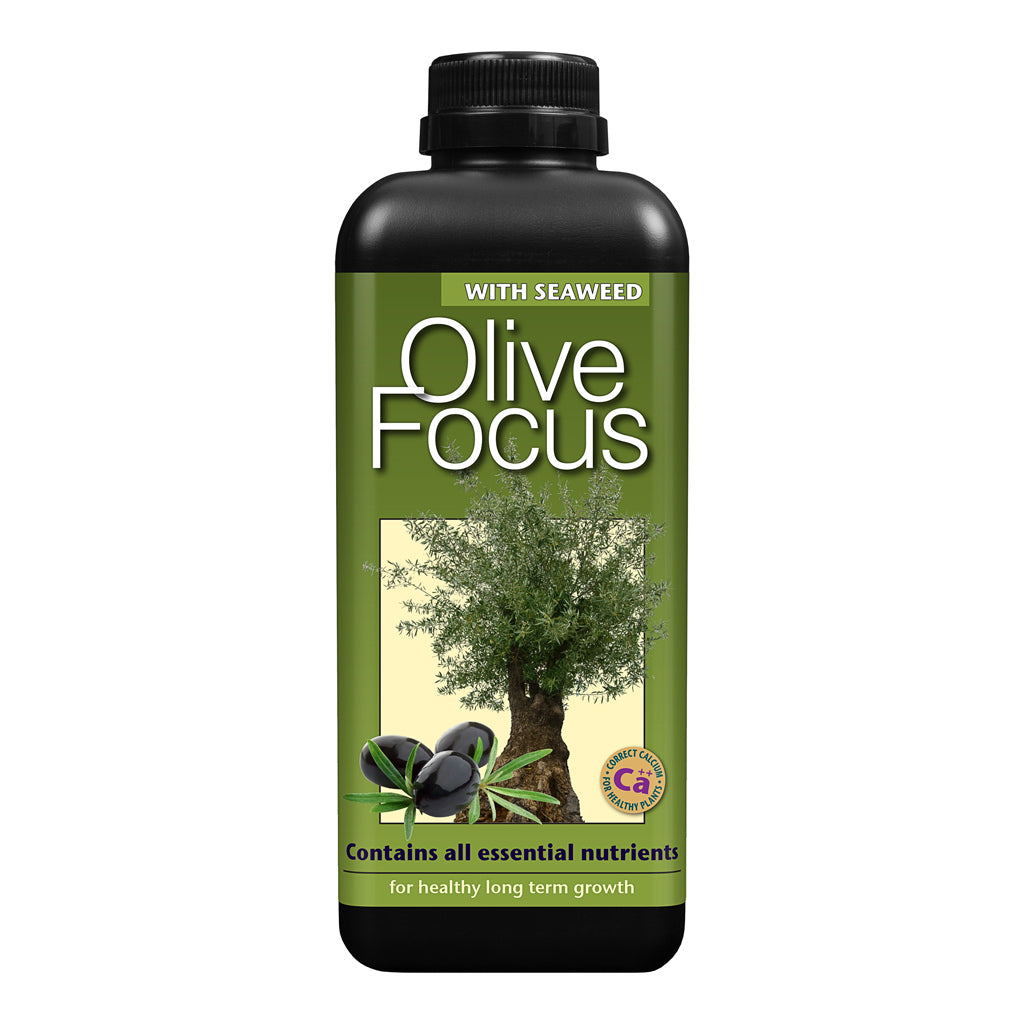 Olive Focus - Plant Nutrition - 100ml