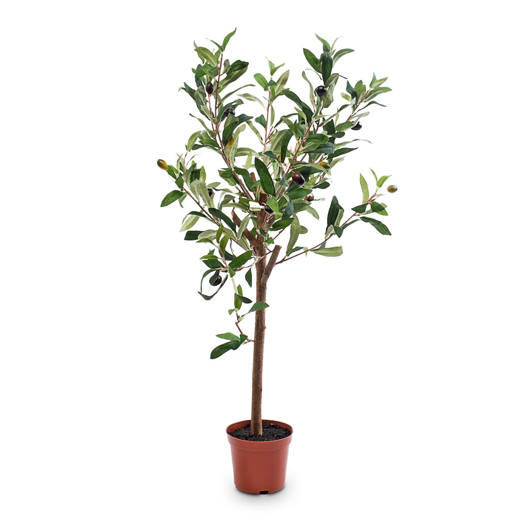 Olive Mini Tree Artificial - 65cm In Albero Pot Cement - 21x19cm