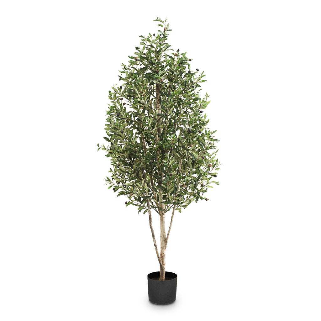 Olive Pyramid Artificial - 170cm