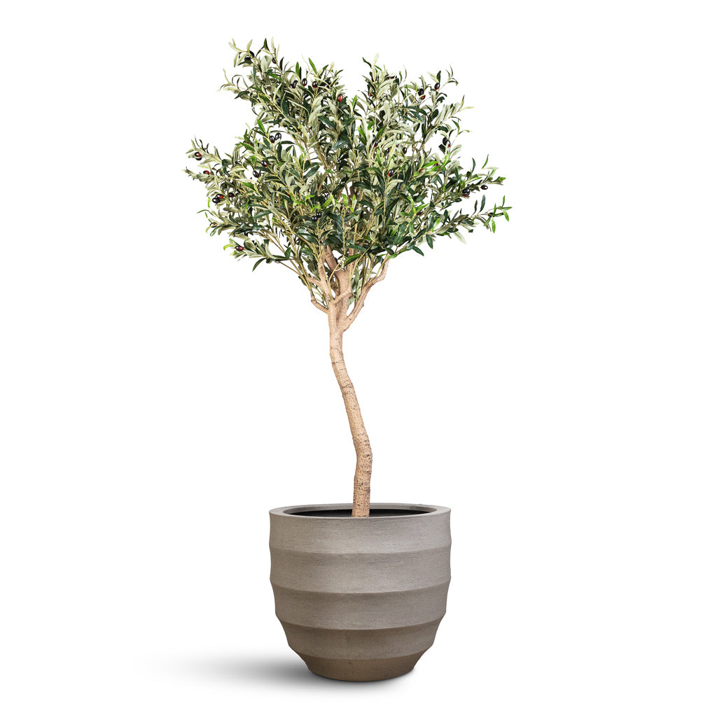 Olive Tree Artificial In Bordo New Egg Pot Planter Clay