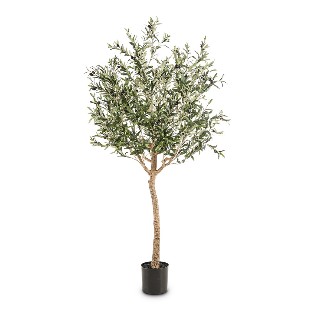 Olive Tree Artificial - 180cm