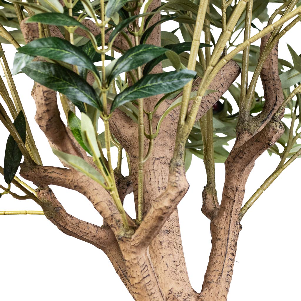 Olive-Tree-Artificial Close Up Of Trunk & Branches 