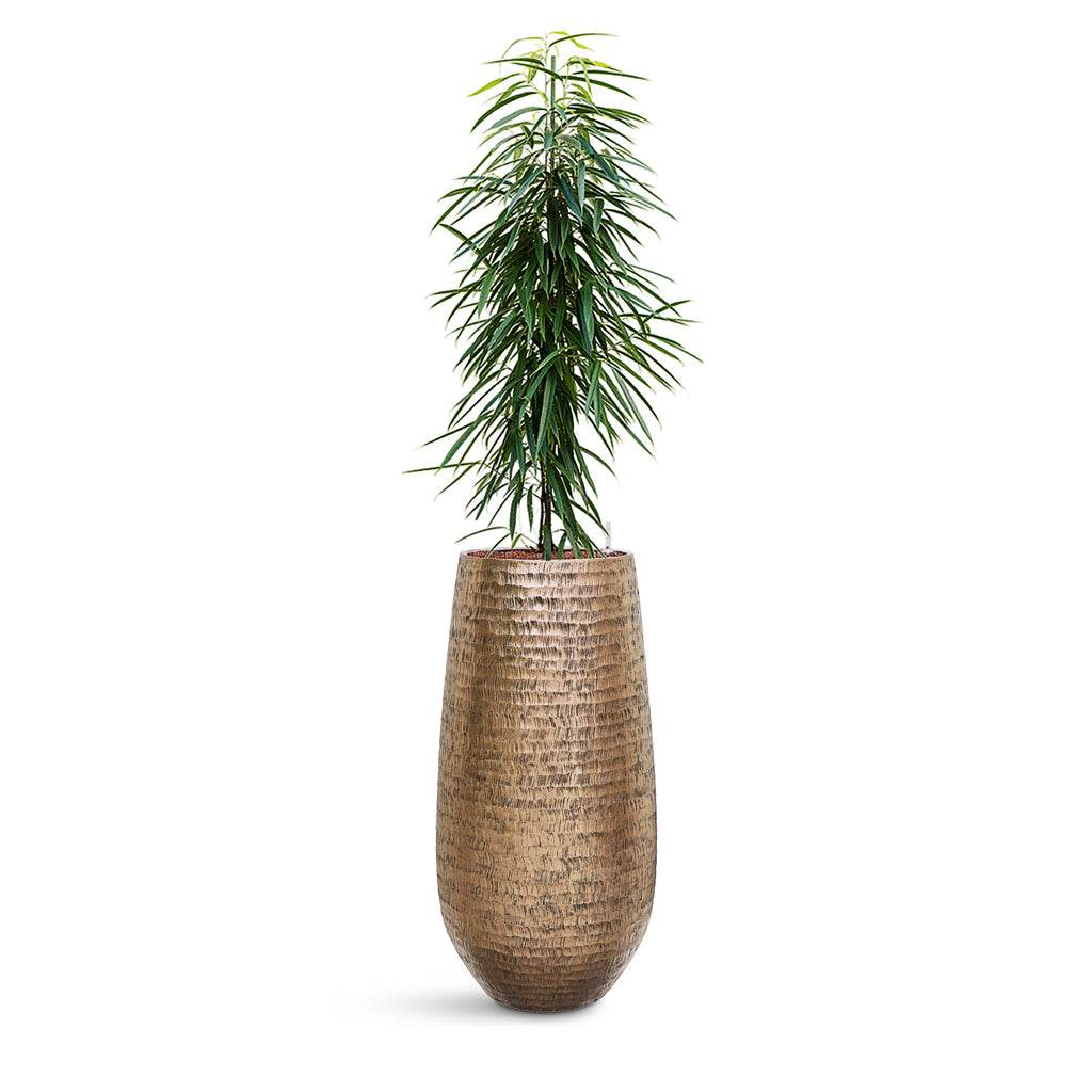 Opus Hammered Tall Darcy Planter - Large Plant Display