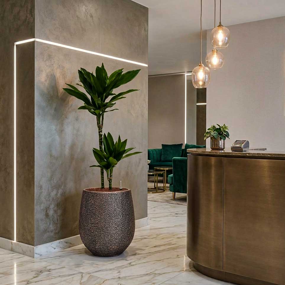 Dracaena in Opus Hit Darcy Planter - Gold