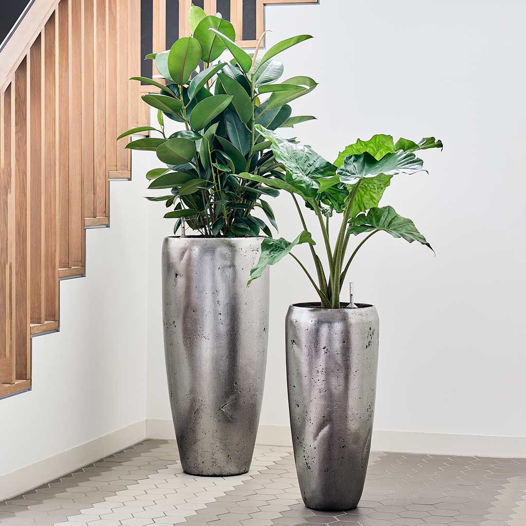 Opus Raw Partner Planter - Silver & Hydroculture Indoor Plants
