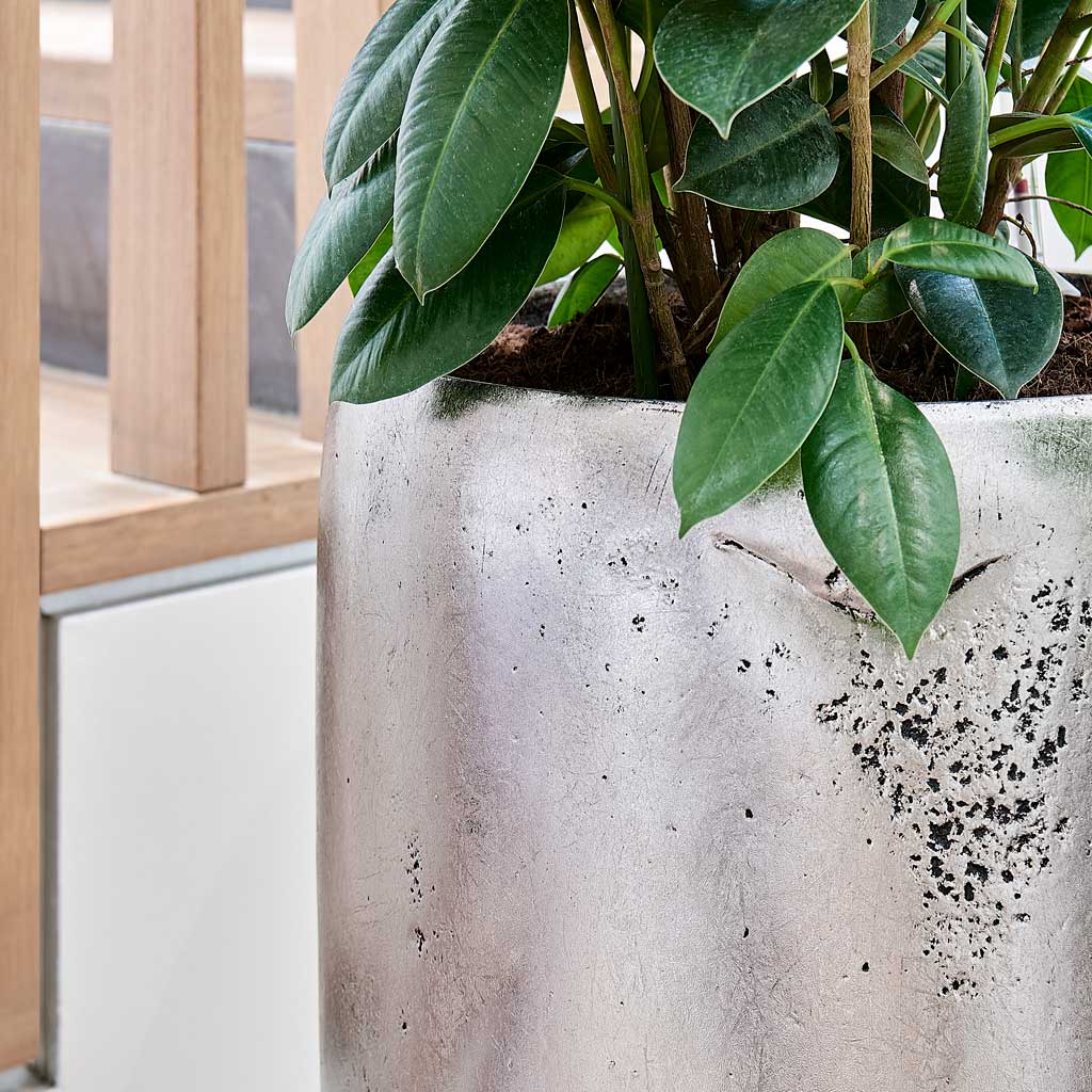 Opus Raw Partner Planter - Silver Rim