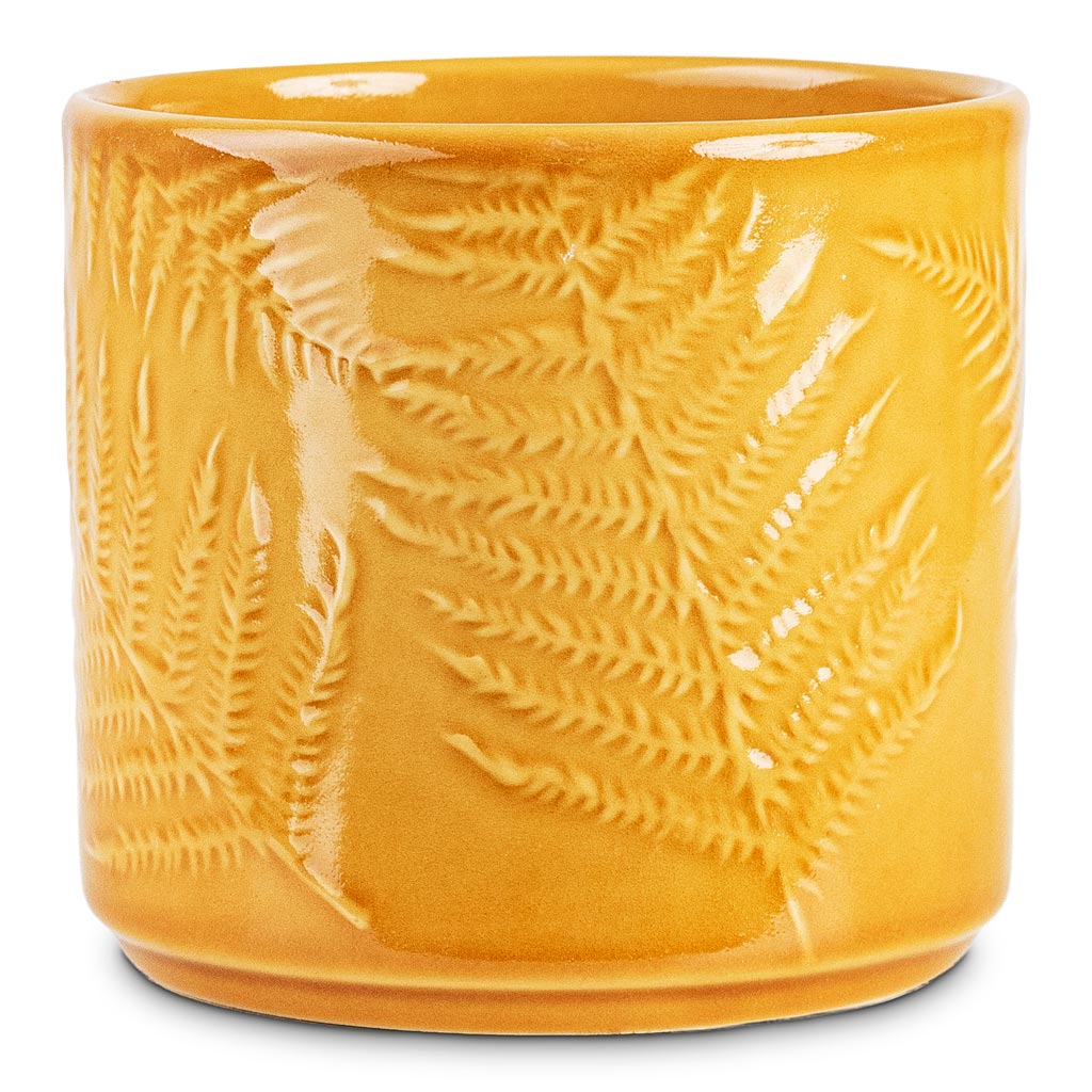 Orla Fern Pot Mustard 13.5x12cm pot